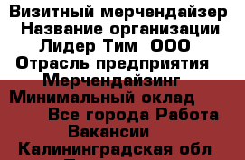 Визитный мерчендайзер › Название организации ­ Лидер Тим, ООО › Отрасль предприятия ­ Мерчендайзинг › Минимальный оклад ­ 18 000 - Все города Работа » Вакансии   . Калининградская обл.,Приморск г.